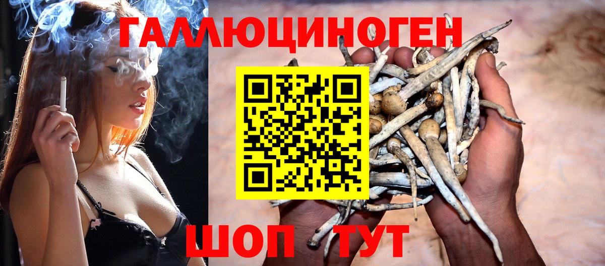 Галлюциногенные грибы Psilocybe  Вход с VPN  Черкесск  Галлюциногенные грибы прущие грибы 