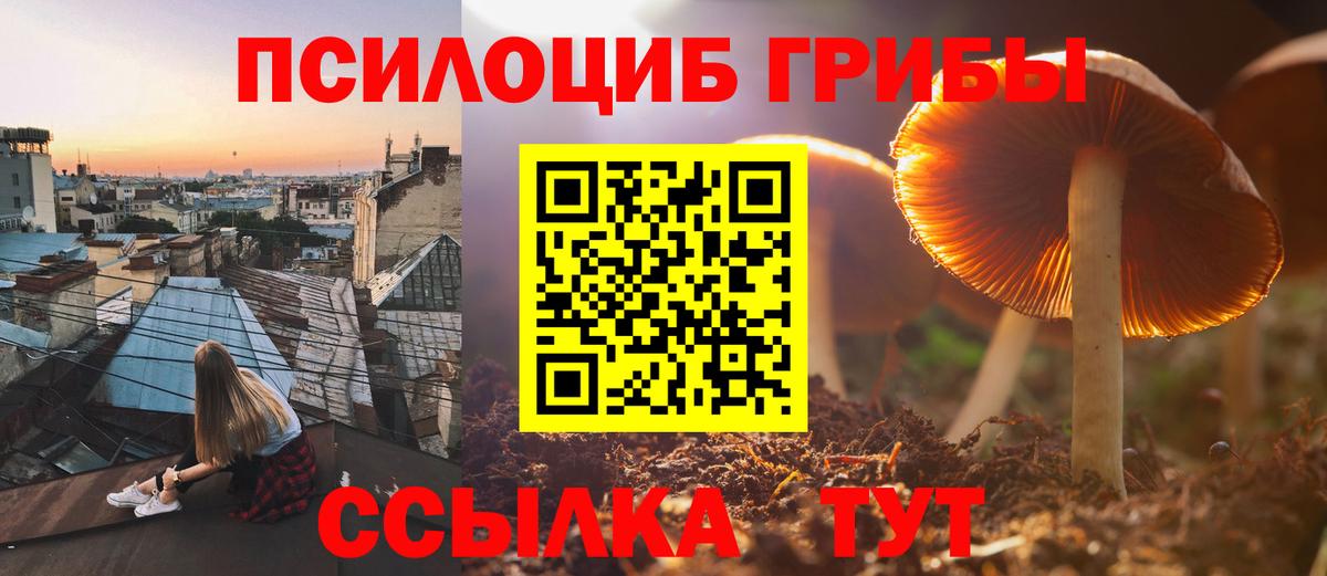 Псилоцибиновые грибы мицелий Черкесск